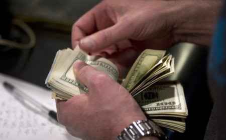 Which sports are the most profitable for betting?